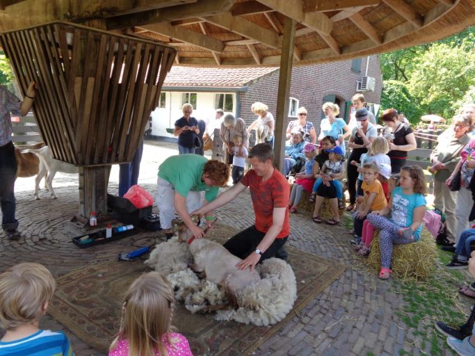 BuurtBoederij de Nijkamphoeve