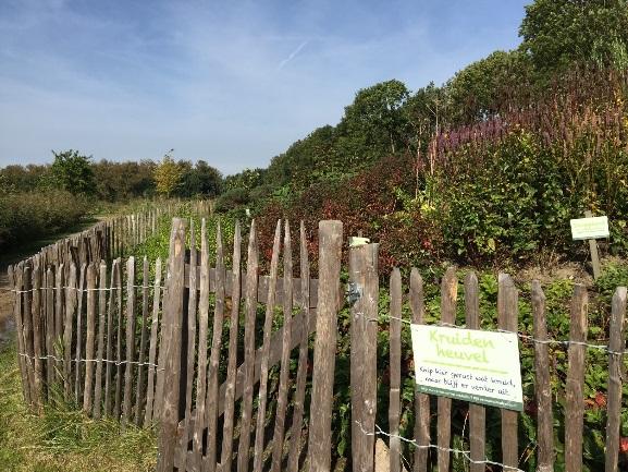 Blog: Laten we ook lokaal blijven