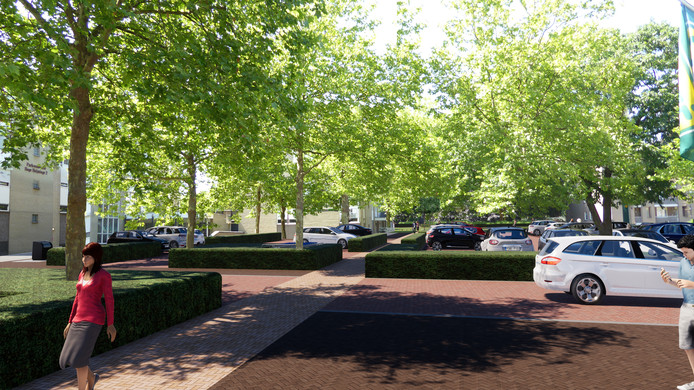 Bomen gered in Dongen