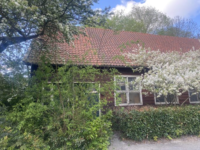 “Gedrevenheid houdt ze op de been”