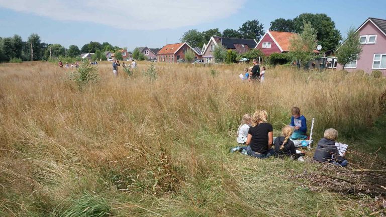 5 duurzame (en leuke!) wijk hacks